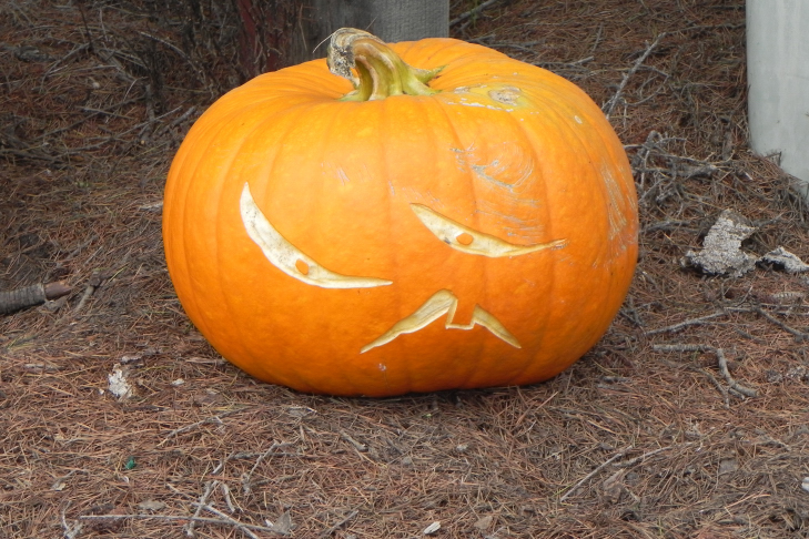 Pumpkin Carving Idea West